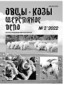 Титульный лист