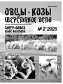 Титульный лист